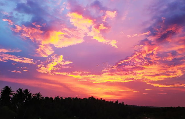 Villa Modara - Photo 46