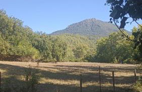 Azahares Apartamento turístico - Foto 44