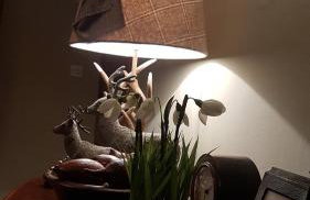 Gateshaw Cottage - Scottish Borders - Foto 28