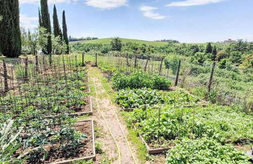 Holiday Home San Regolo-2 by Interhome - Foto 43