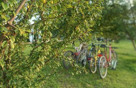 Domki Anielski Zakątek J&R nad Bałtykiem DELUX z balią ogrodową z jacuzzi i klimatyzacją - Foto 68