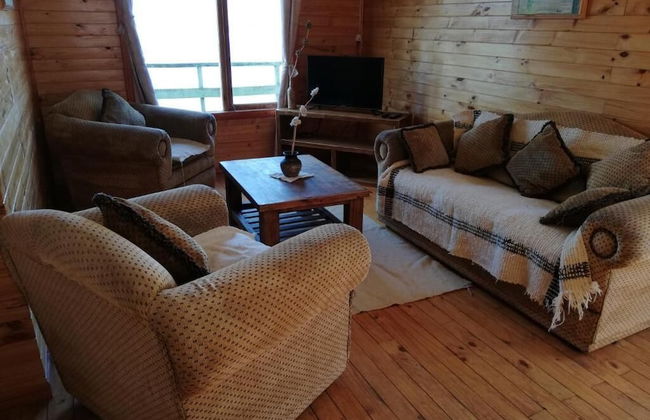 Cabañas Palafitos Dalmacia - Foto 13