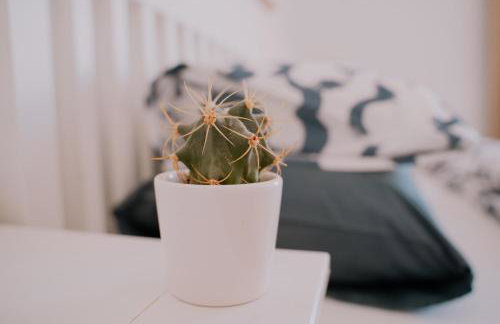 Finca Thiago - Foto 64