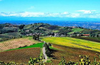 Residenza Salvia CASA GUARNONE - Photo 38