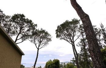 Appartamenti Portiglioni-Belvedere - Photo 50