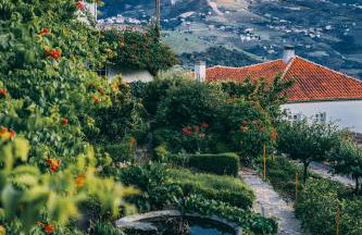 Casa d' Alem - Photo 10