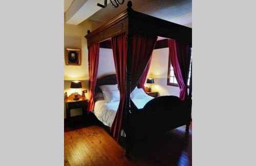 MAISON DE NOSTRADAMUS*** OCCITANIE INSOLITE - Foto 53