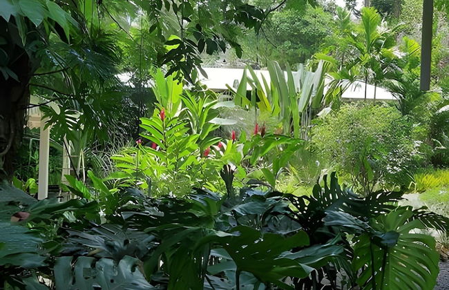 Casa Naranja - Photo 19