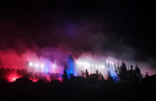 Le Belvédère St Gimer - Photo 30