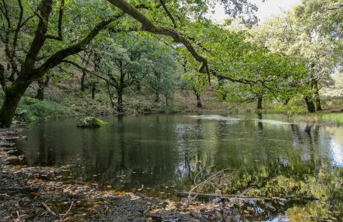 Casa del Secretario - Foto 35