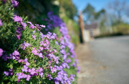 Dukes Well - Photo 33