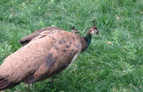 Apartamento Turistico Cigüeña de Arguedas - Foto 47