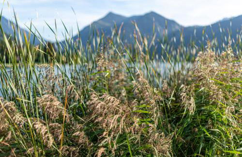 Seeheimat Ferienwohnungen - Foto 67