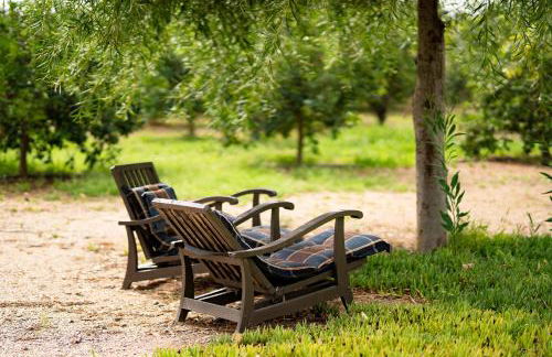 Mas Montbrio Belvedere - Foto 54