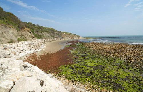 Landward Cottage Isle of Wight - Photo 14