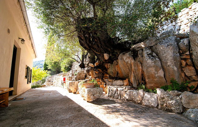 Villa Kounouvato Ithaca - Photo 41