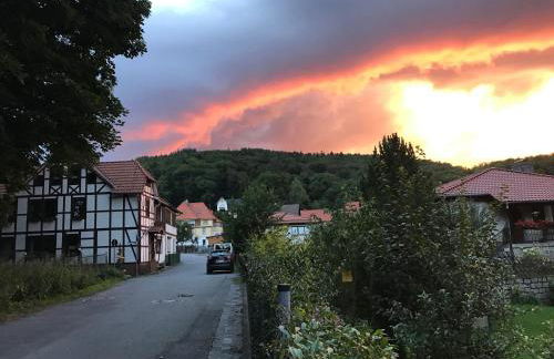 Ferienwohnung-Willgeroth - Foto 15