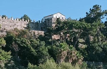 LimonoSpito - Photo 41