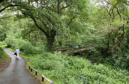 8 Oakridge, St Mellion - Photo 35