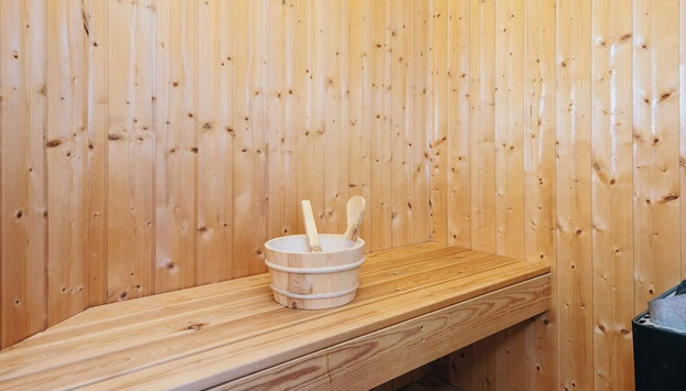 5 Star Holiday Home in Hemmet - Foto 5, Sauna