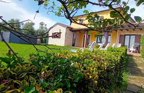 House Dolly - Foto 10