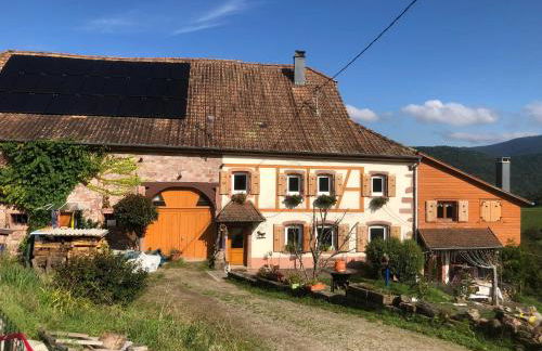 Maison pittoresque à Sainte-Croix-aux-Mines, vue sur la montagne - Foto 74