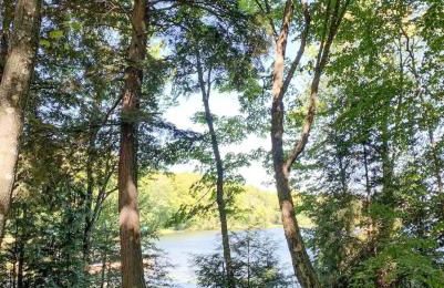 Majestic Maples on Kentuck Lake in Eagle River WI - Foto 46