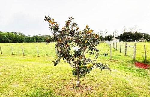 BlockHaven near Legoland, Disney - Foto 51