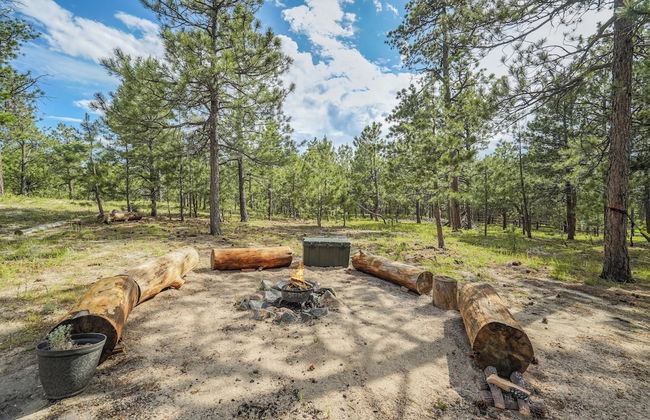 Buckskin Hideaway - Foto 37