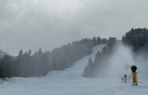 Reset Bieszczady - Foto 29
