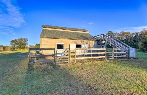 Havelock Country Cabin on Working Horse Farm! - Foto 20