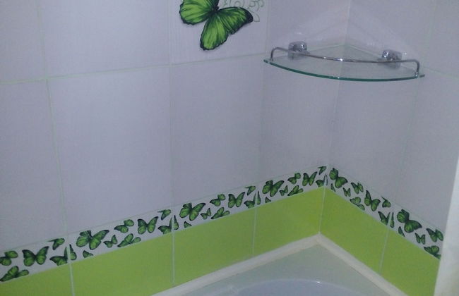 Zorge Studies - Foto 35