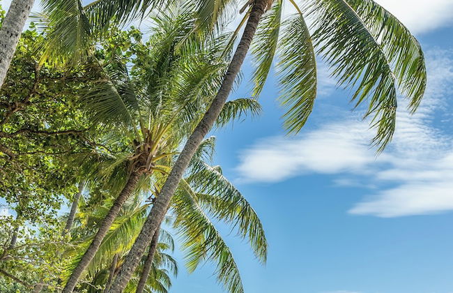 Coral Sands Resort - Photo 30