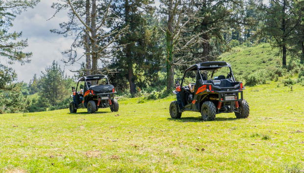 Tour en buggy por Piloña - Photo 2