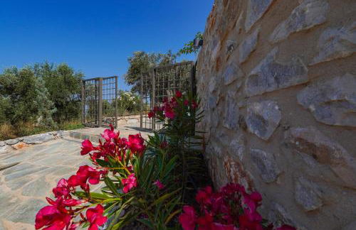 Thalassori Villas - Foto 46