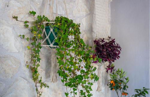 Almyra Luxury Living - Foto 28