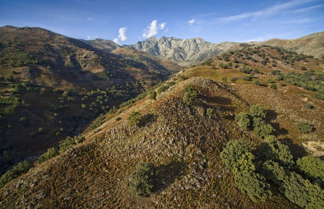 El Vergel de Chilla - Foto 1