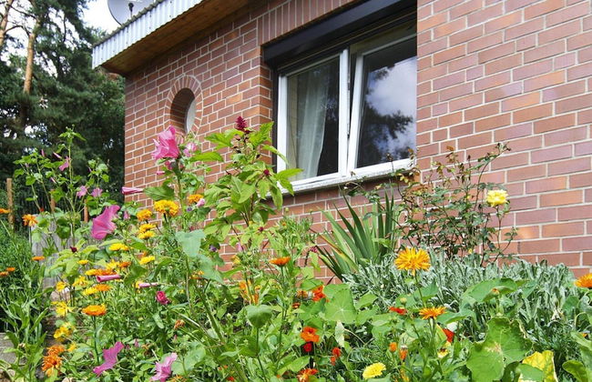 Ferienhaus in der Feldberger Seenlandschaft - Foto 1