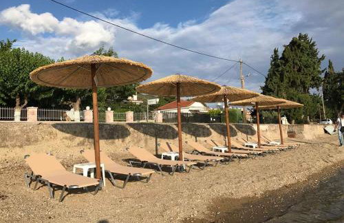 Mamanis Studios - Foto 7