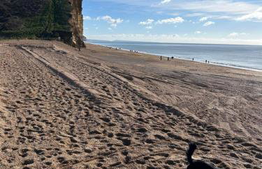 Strongate View Apartment - cosy stylish rural Jurassic coast & Bridport nearby - Foto 28