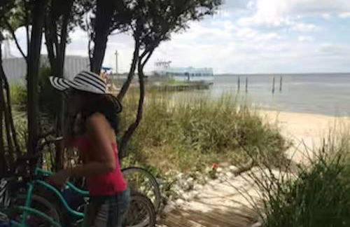 Chill Fire Island Beachfront Cottage with Amazing Bay and Sunset Views, Perfect Location in Fair Harbor - Foto 53