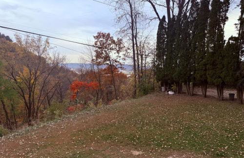 Bosco Bluff Cottage - Foto 20