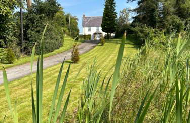 Lime Tree House - Foto 63