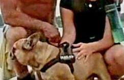 Stylish Open Plan Guest House 400sq ft Rutland - Photo 47