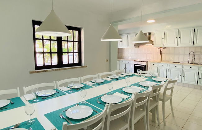 Azinheira CIP - Photo 16