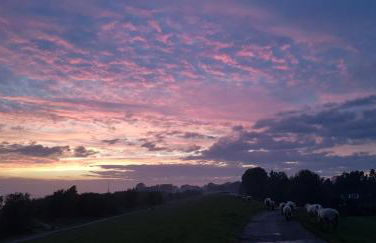 Haus am Deich - Foto 16