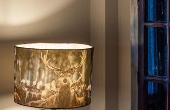 Arachova Mountain Villa - Foto 45