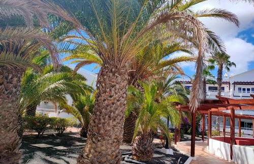 Flor De Cactus - Foto 51