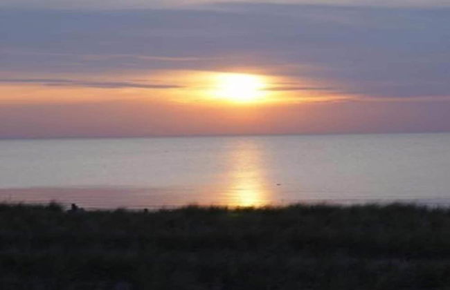 Insel-bungalow auf Poel - Foto 16