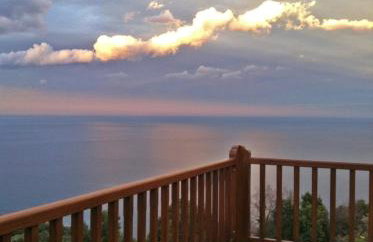 Lions Nine - Foto 21